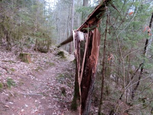 Peakhunter Joggingtour von Forchheim zum Auerberg