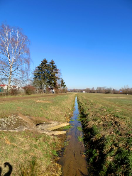 Joggingtour von Forchheim nach Buttenheim bei den Wasservgeln und Silberreihern