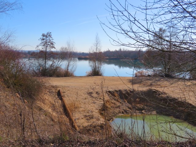 Joggingtour von Forchheim nach Buttenheim bei den Wasservgeln und Silberreihern