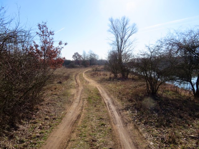 Joggingtour von Forchheim nach Buttenheim bei den Wasservgeln und Silberreihern