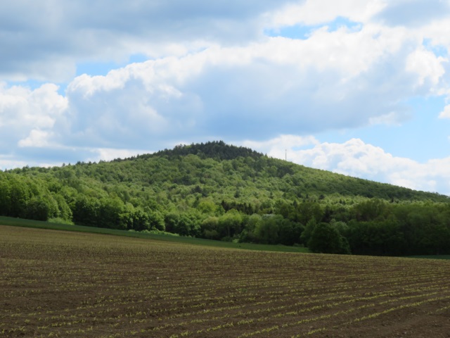 Joggingtour Tag des Wanderns 2019 von Buttenheim nach Forchheim 