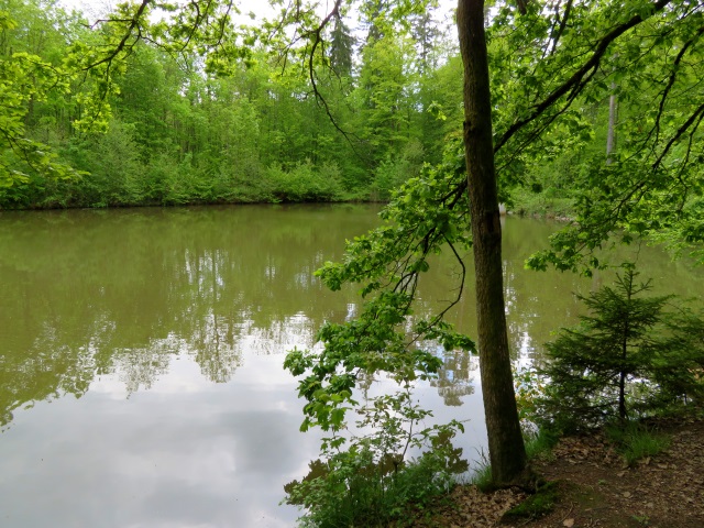 Joggingtour Tag des Wanderns 2019 von Buttenheim nach Forchheim 