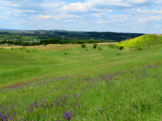 Joggingtour Tag des Wanderns 2019 von Buttenheim nach Forchheim 