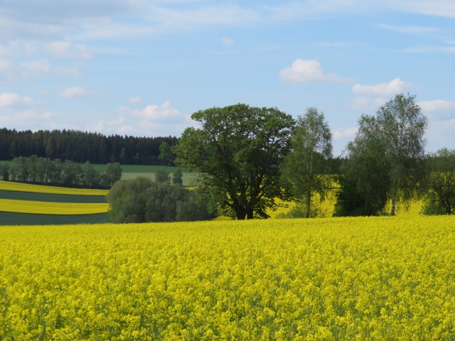 Vulkan Eisenbhl - Tour am 23.05.2019 zu einem in prhistorischer Zeit aktiven Vulkan in Tschechien