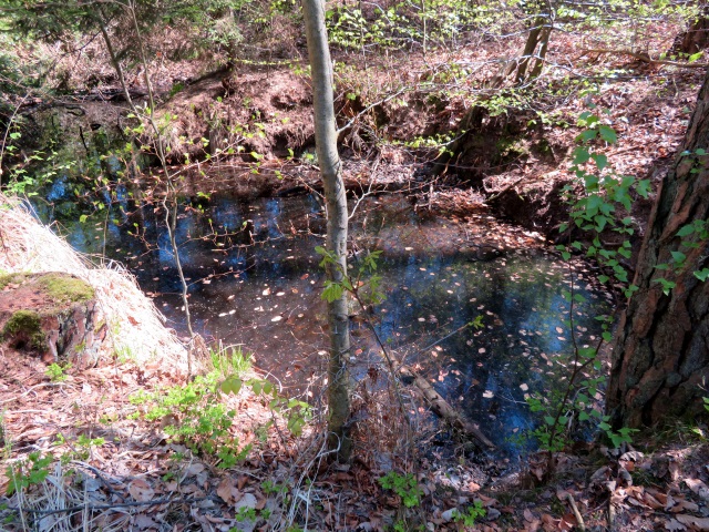 Lauf durch die sdlichen Hassberge am 21.04.2019