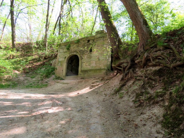 Lauf durch die sdlichen Hassberge am 21.04.2019