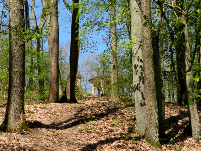 Lauf durch die sdlichen Hassberge am 21.04.2019