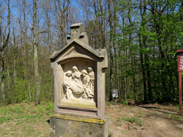 Lauf durch die sdlichen Hassberge am 21.04.2019