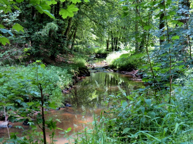 Hersbrucker Schweiz Orientierungslauf 2019