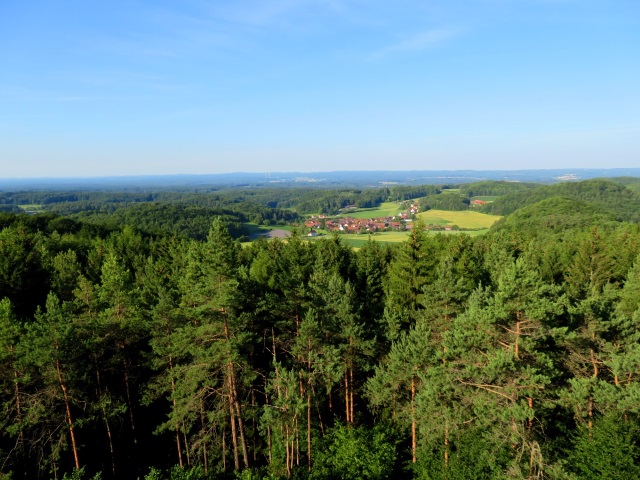 Hersbrucker Schweiz Orientierungslauf 2019