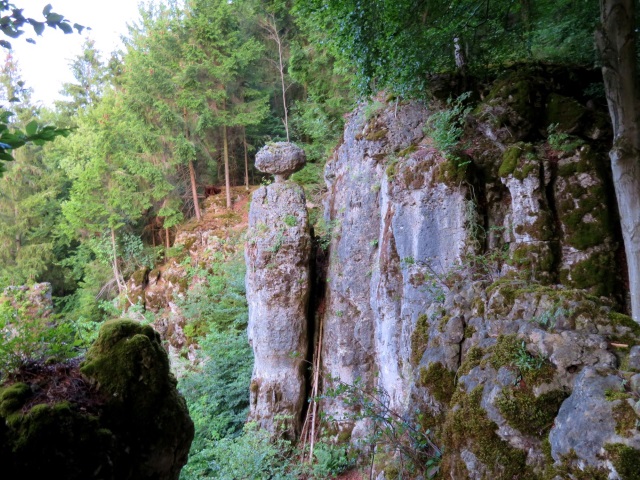 Hersbrucker Schweiz Orientierungslauf - Fortsetzungslauf 2019