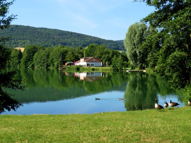 Hersbrucker Schweiz Orientierungslauf - Fortsetzungslauf 2019