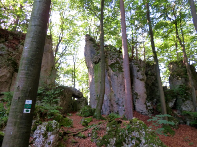 Frnkische Schweiz Joggingtour mit Langer Berg und allerlei Burgruinen am 20.09.2019 