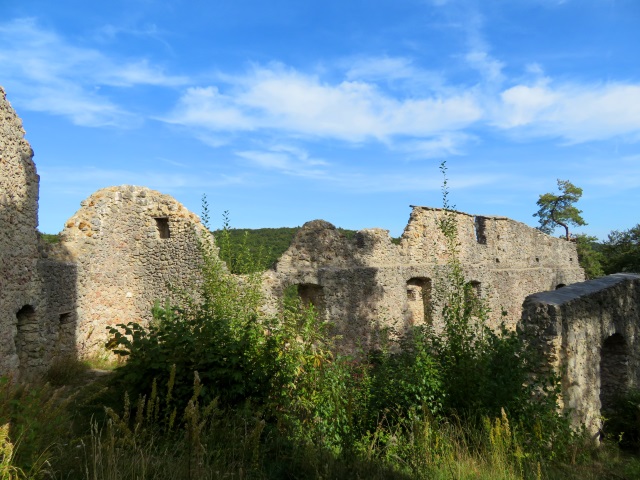 Frnkische Schweiz Joggingtour mit Langer Berg und allerlei Burgruinen am 20.09.2019 