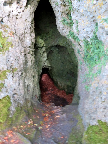 Frnkische Schweiz Joggingtour mit Langer Berg und allerlei Burgruinen am 20.09.2019 