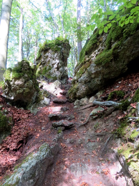 Frnkische Schweiz Joggingtour mit Langer Berg und allerlei Burgruinen am 20.09.2019 