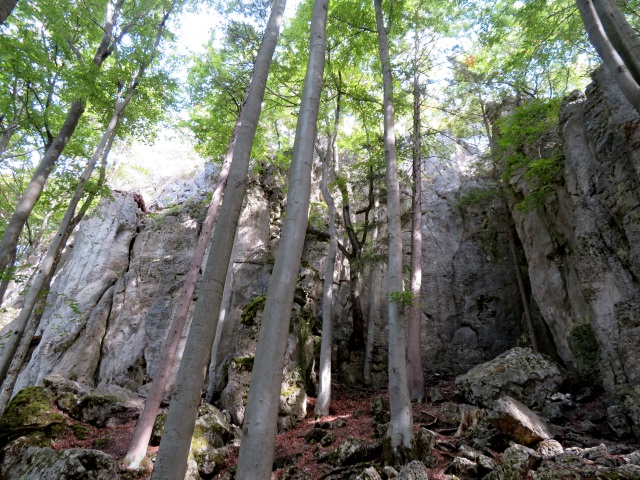 Frnkische Schweiz Joggingtour mit Langer Berg und allerlei Burgruinen am 20.09.2019 