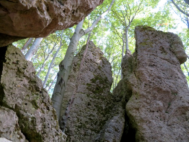 Frnkische Schweiz Joggingtour mit Langer Berg und allerlei Burgruinen am 20.09.2019 