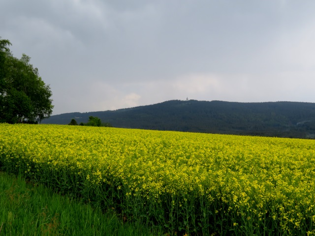 Grenzlandturm und Lerchenbhl - Tour am 25.05.2019