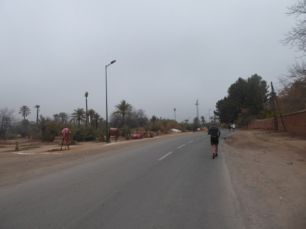 Marrakesch Marathon 2019