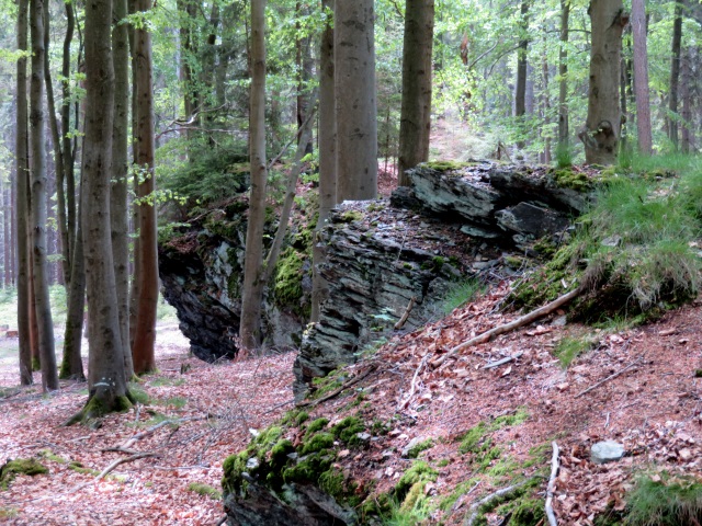 Ringelfelsen - Tour am 27.05.2019 und Peakhunting auf Birkenberg und Heidelberg