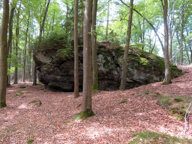 Ringelfelsen - Tour am 27.05.2019 und Peakhunting auf Birkenberg und Heidelberg