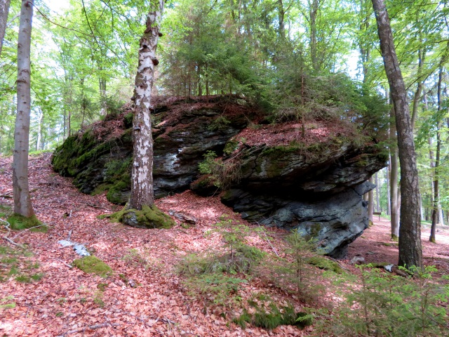 Ringelfelsen - Tour am 27.05.2019 und Peakhunting auf Birkenberg und Heidelberg