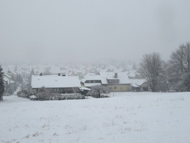 Schneelauf am 11.01.2019 in Forchheim