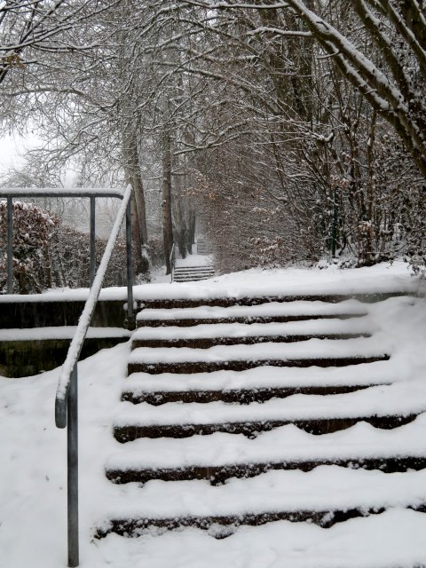 Schneelauf am 11.01.2019 in Forchheim