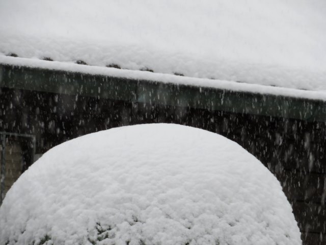 Schneelauf am 11.01.2019 in Forchheim