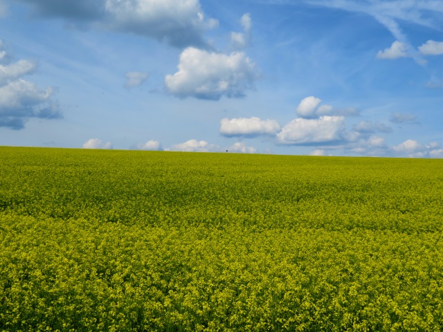 Tillenberg und Mittelpunkt Europas - Tour am 26.05.2019