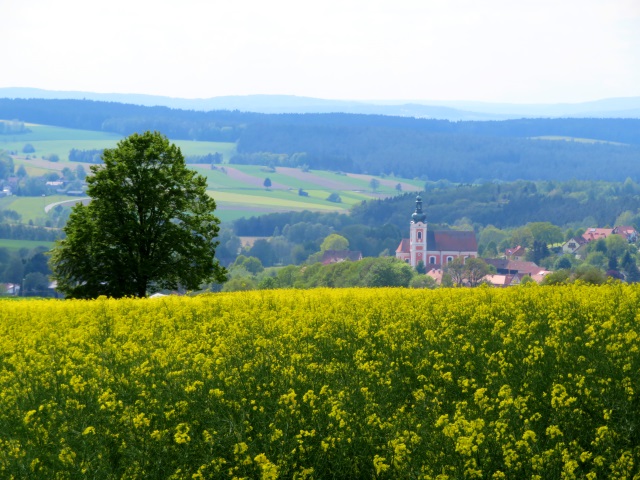 Tillenberg und Mittelpunkt Europas - Tour am 26.05.2019