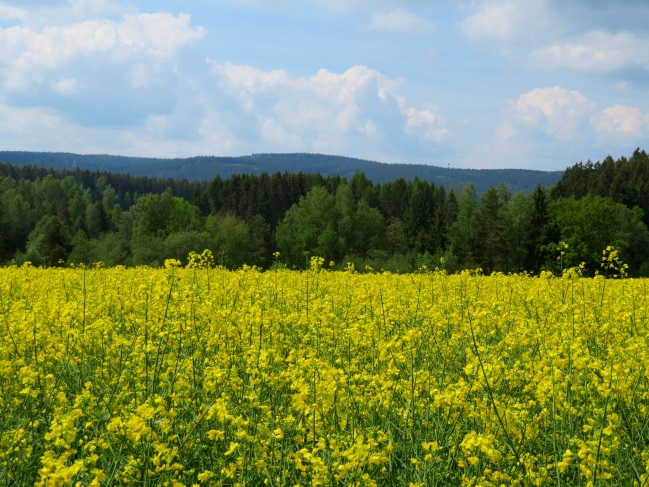 Tillenberg und Mittelpunkt Europas - Tour am 26.05.2019