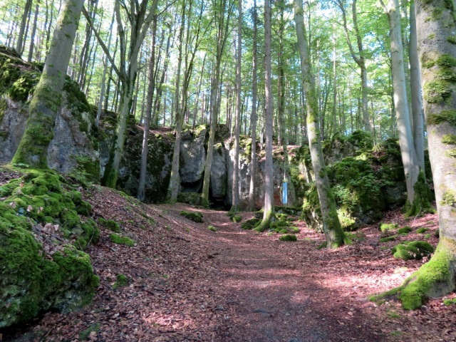 Von Daheim Los Lauf Teil 1 durch die Frnkische Schweiz