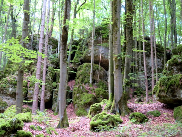 Von Daheim Los Lauf Teil 1 durch die Frnkische Schweiz