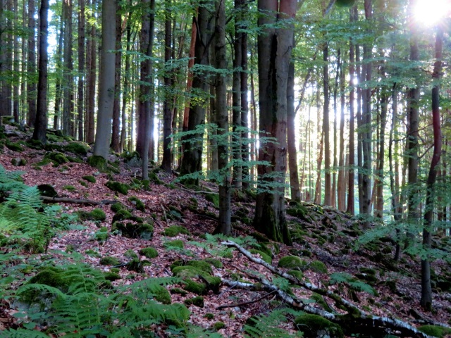 Von Daheim Los Lauf Teil 2 