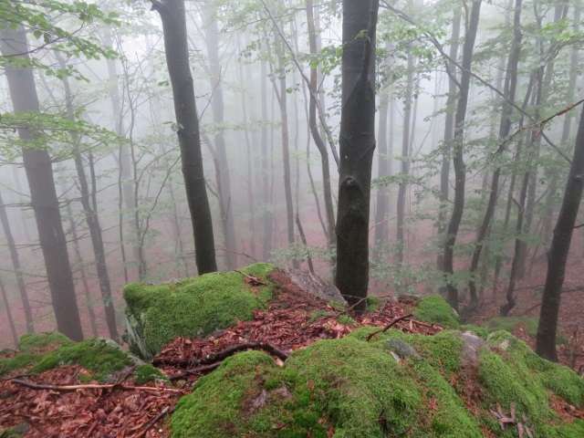 Von Daheim Los Lauf Teil 2 