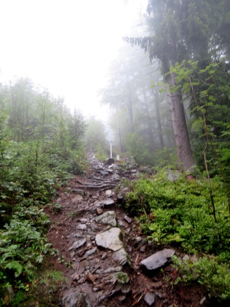 Von Daheim Los Lauf Teil 2 