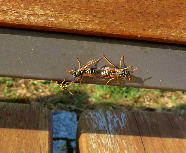 Von Daheim Los Lauf Teil 2 