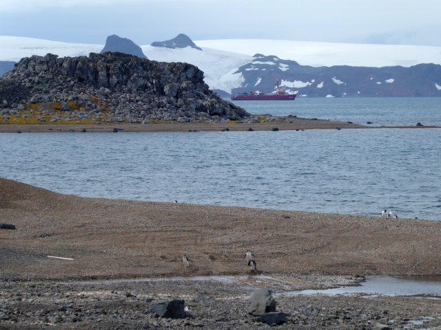 King George Island (KGI) Antarktis Marathon 2020