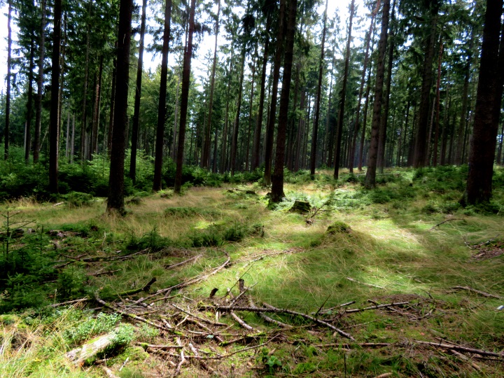 Peak Hunting Tour von Mhring auf den Poppenreuther Berg