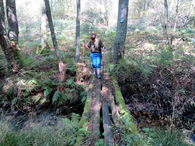 Neualbenreuth Wanderung