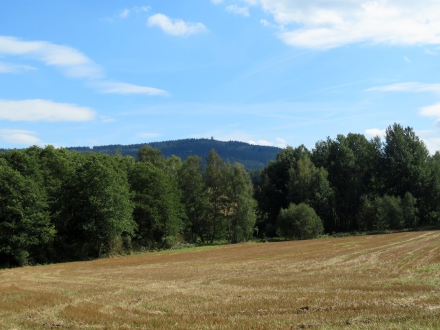 Neualbenreuth Wanderung