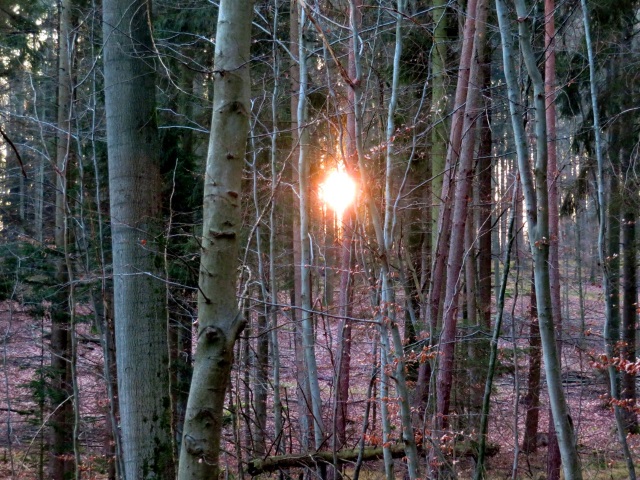 Wanderung im Steigerwald