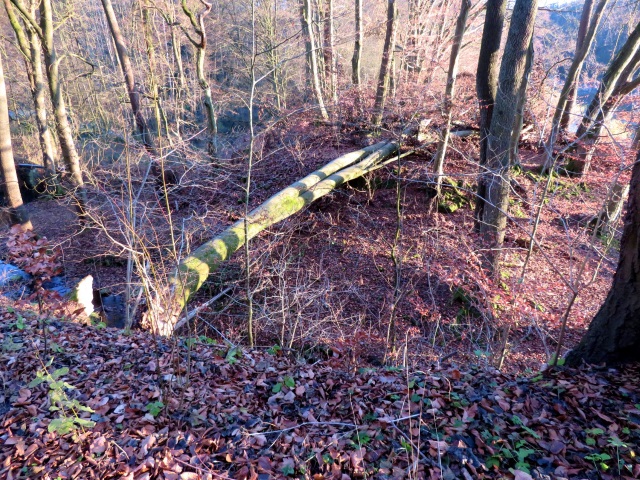 Wanderung im Steigerwald