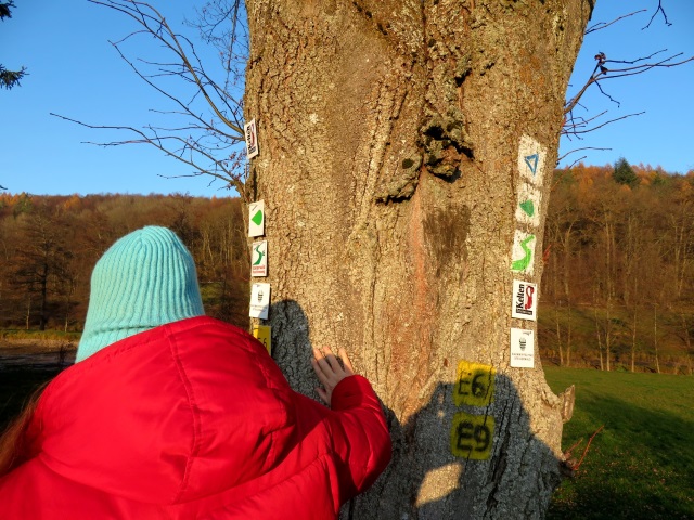 Wanderung im Steigerwald