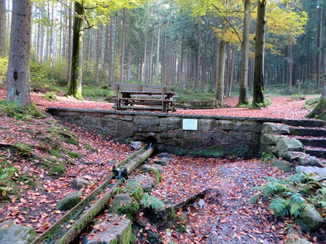 Tour im Thringer Wald am 20.10.2021