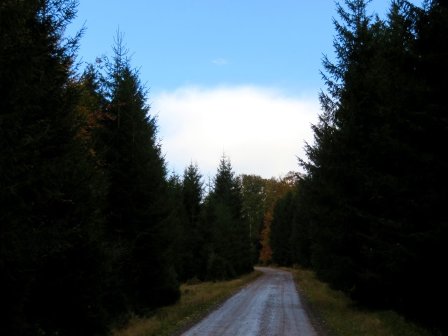 Tour im Thringer Wald am 20.10.2021