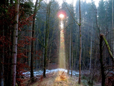 Fantastische Sonnenstrahlen bei Tour im Januar 2022