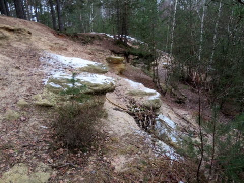 Sandsteinfelsen im Sebalder Reichswald im Januar 2023